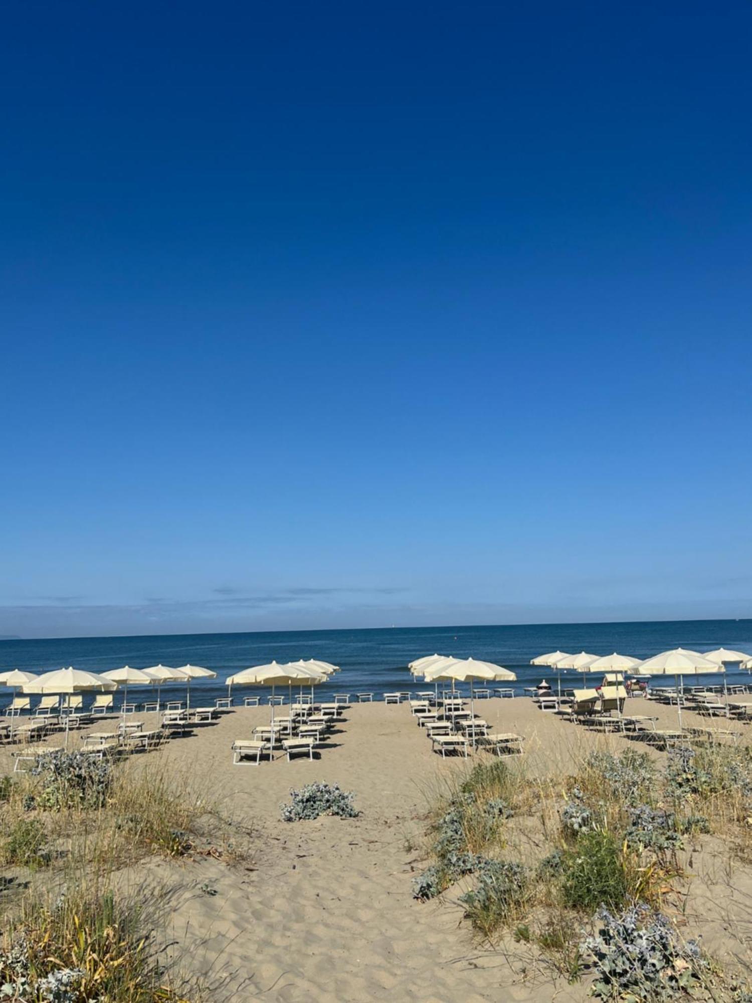 Luminosity By The Sea Apartment Calambrone Bagian luar foto